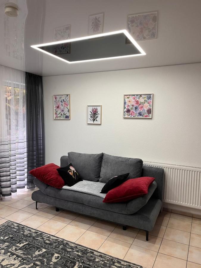 A&D Charmantes Apartment - Buehlertal Bei Buehl, Baden-Baden & Schwarzwald Εξωτερικό φωτογραφία